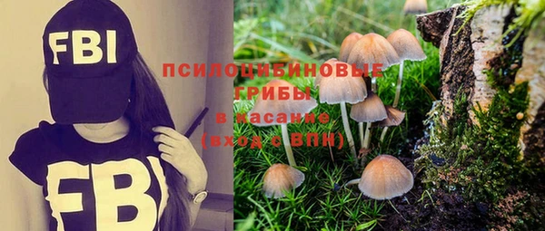 таблы Армянск