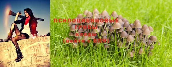 таблы Армянск