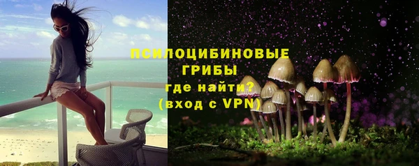 прущий лед Аркадак