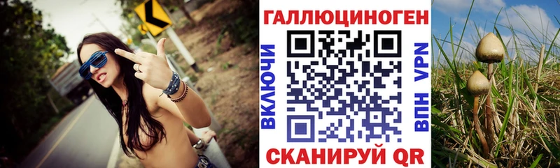 Псилоцибиновые грибы ЛСД  где найти наркотики  Рыбное 