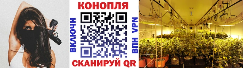 Бошки Шишки SATIVA & INDICA  Рыбное 